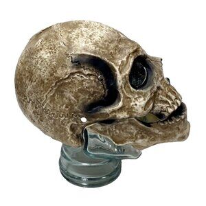 Evil Skeleton Mask Full Face Halloween Skull Head Mask Moving Jaw Realis…